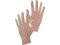 Rukavice CXS MOSE, jednorázové, vinylové, vel. 09